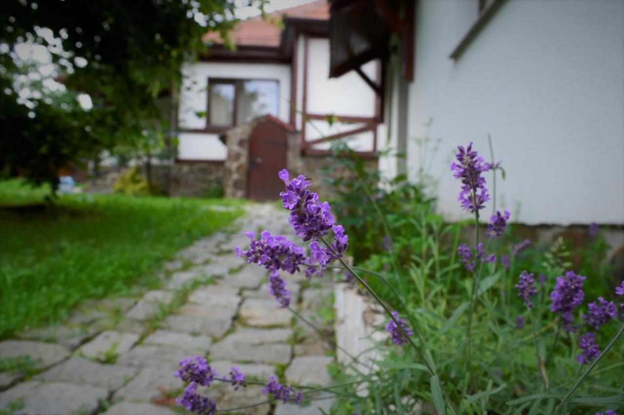 Casa Vatra Sinteului - Cu Sala De Evenimente De Capacitate Mare - Se Inchiriaza Integral Villa Socet Екстериор снимка